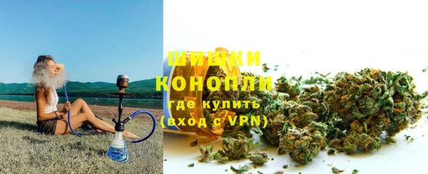 СК Новозыбков