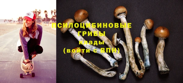 спиды Няндома