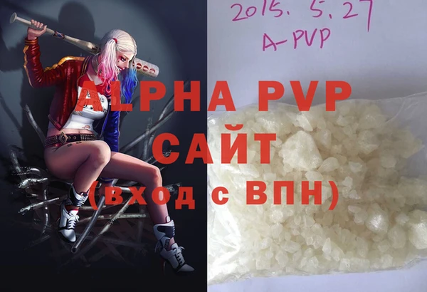 прущие грибы Осташков