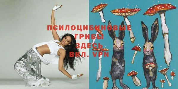 спиды Няндома