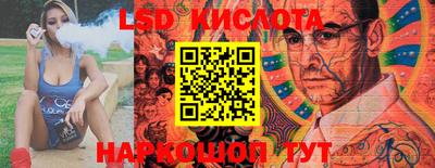 шишки Балашиха