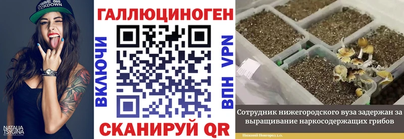 Галлюциногенные грибы Cubensis  что такое наркотик  Курчатов 