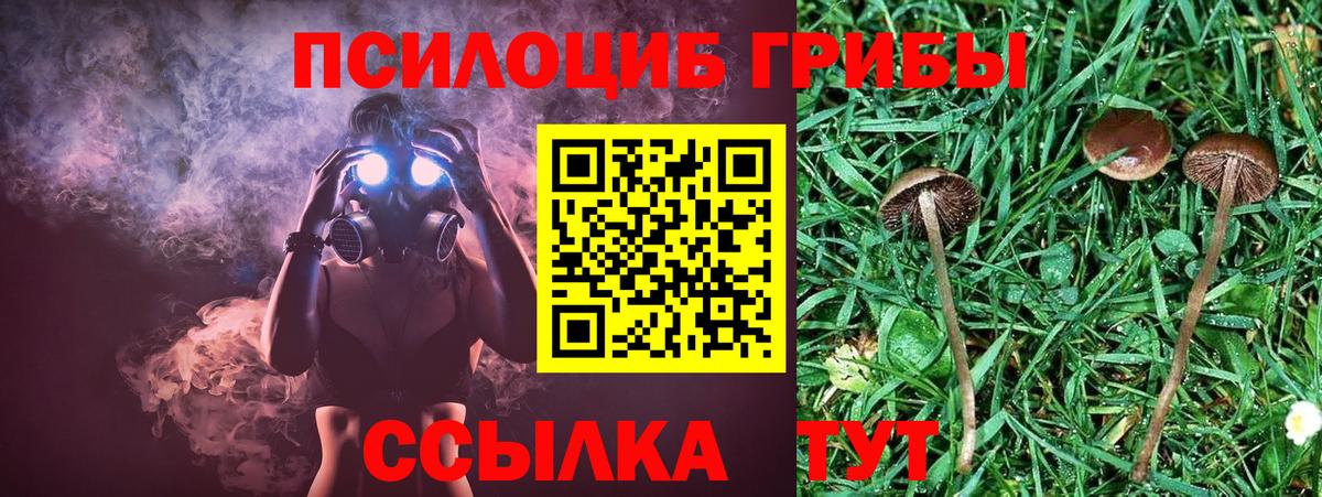 Галлюциногенные грибы MAGIC MUSHROOMS  Вход с VPN  цена наркотик  Курчатов 