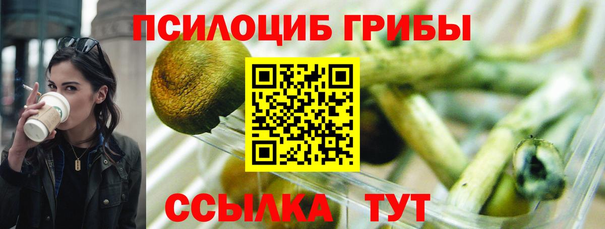 Галлюциногенные грибы MAGIC MUSHROOMS Курчатов