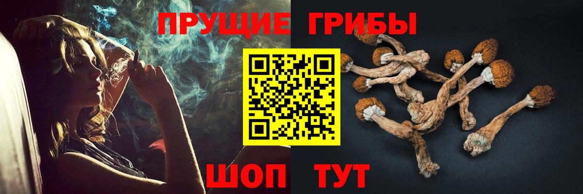 Псилоцибиновые грибы ЛСД  где найти   Галлюциногенные грибы прущие грибы  Курчатов 