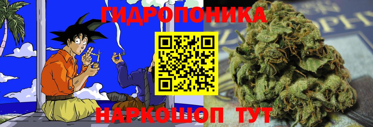 Шишки марихуана семена Курчатов